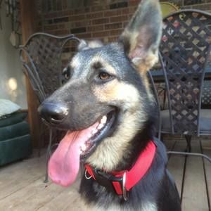 Meet your Posher, Guy